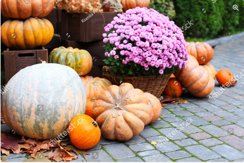 Boost Your Home’s Autumn Appeal: Creative Fall Decor Tips for a Cozy Curb Appeal