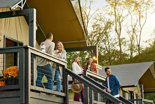 12 Editor Picks for Fall 2022